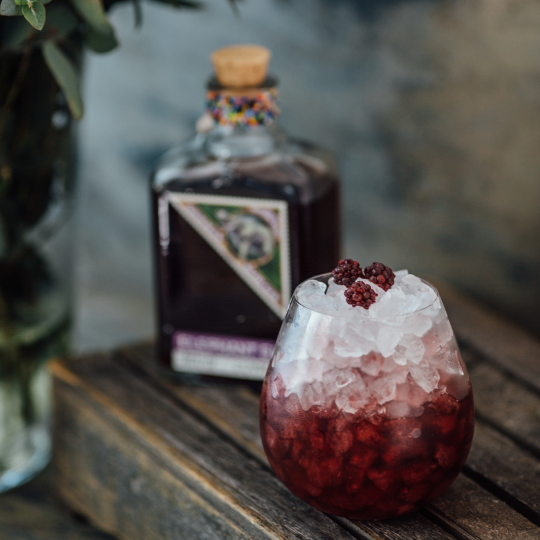 Anthology GIN Sloe gin bacche di prugnolo e baobab