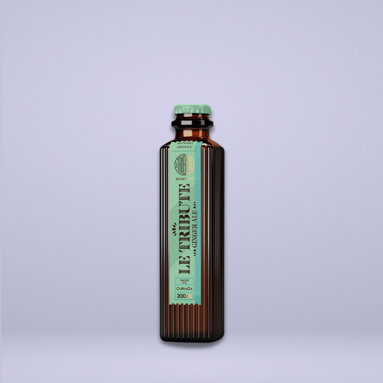 Anthology by Mavolo Mixology Ginger Ale bibita zenzero
