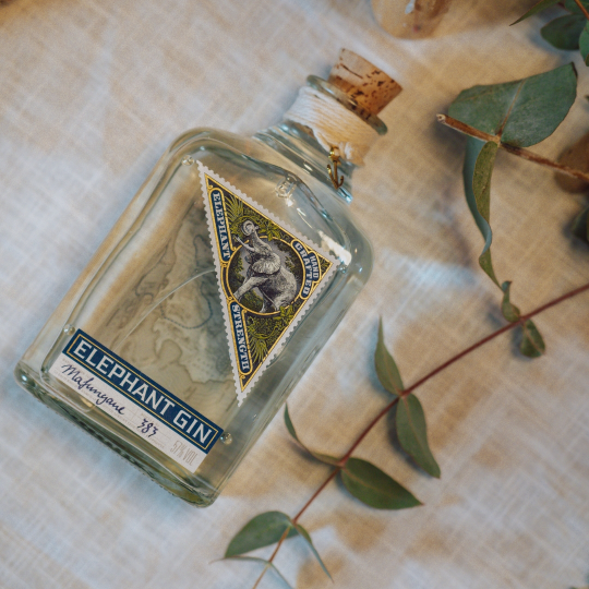 Anthology Gin Strength london dry gin baobab arancia