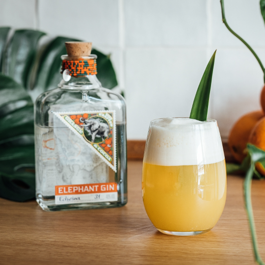 Anthology GIN Orange Cocoa gin arancia e cacao