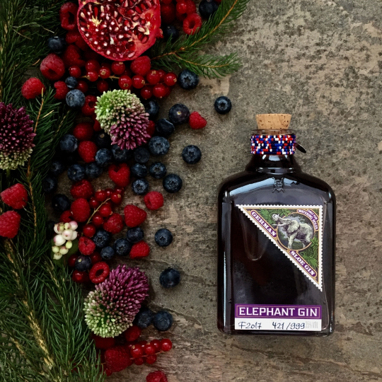 Anthology GIN Sloe gin bacche di prugnolo e baobab