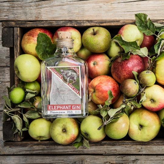 Anthology Gin London Dry bottiglia ginepro e baobab