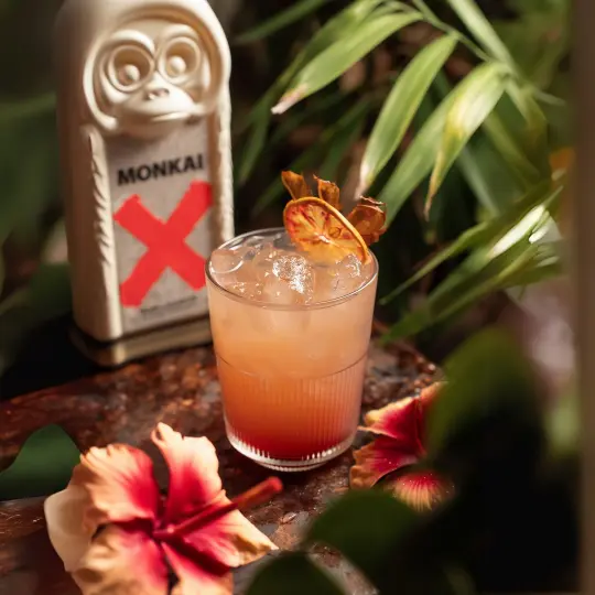 Anthology Amari e Liquori Rum Liqueur liquore al rum