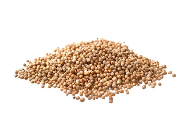 Cutina Coriandolo Semi Officinali tisana 100 gr digestiva