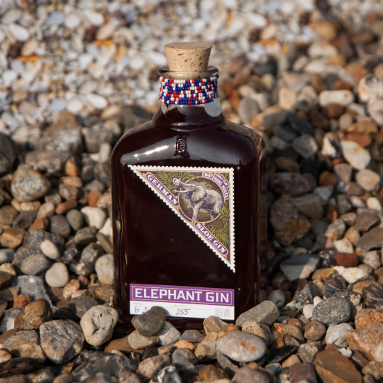Anthology GIN Sloe gin bacche di prugnolo e baobab