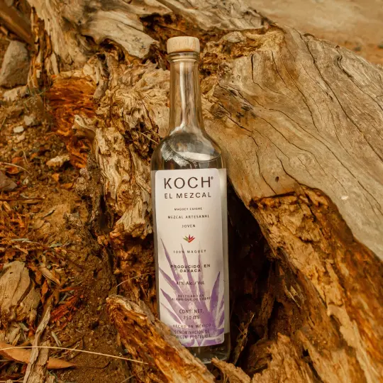 Anthology by Mavolo Mezcal Cuishe Artesanal Joven Agave