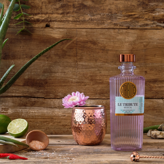 Anthology Agave Mezcal Cenizo Artesanal silvestre