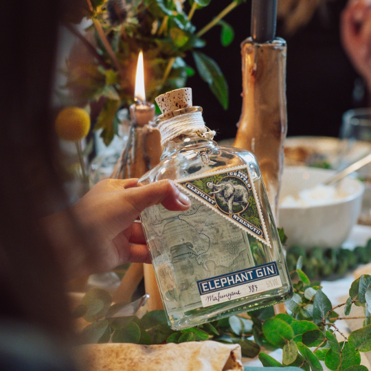 Anthology Gin Strength london dry gin baobab arancia