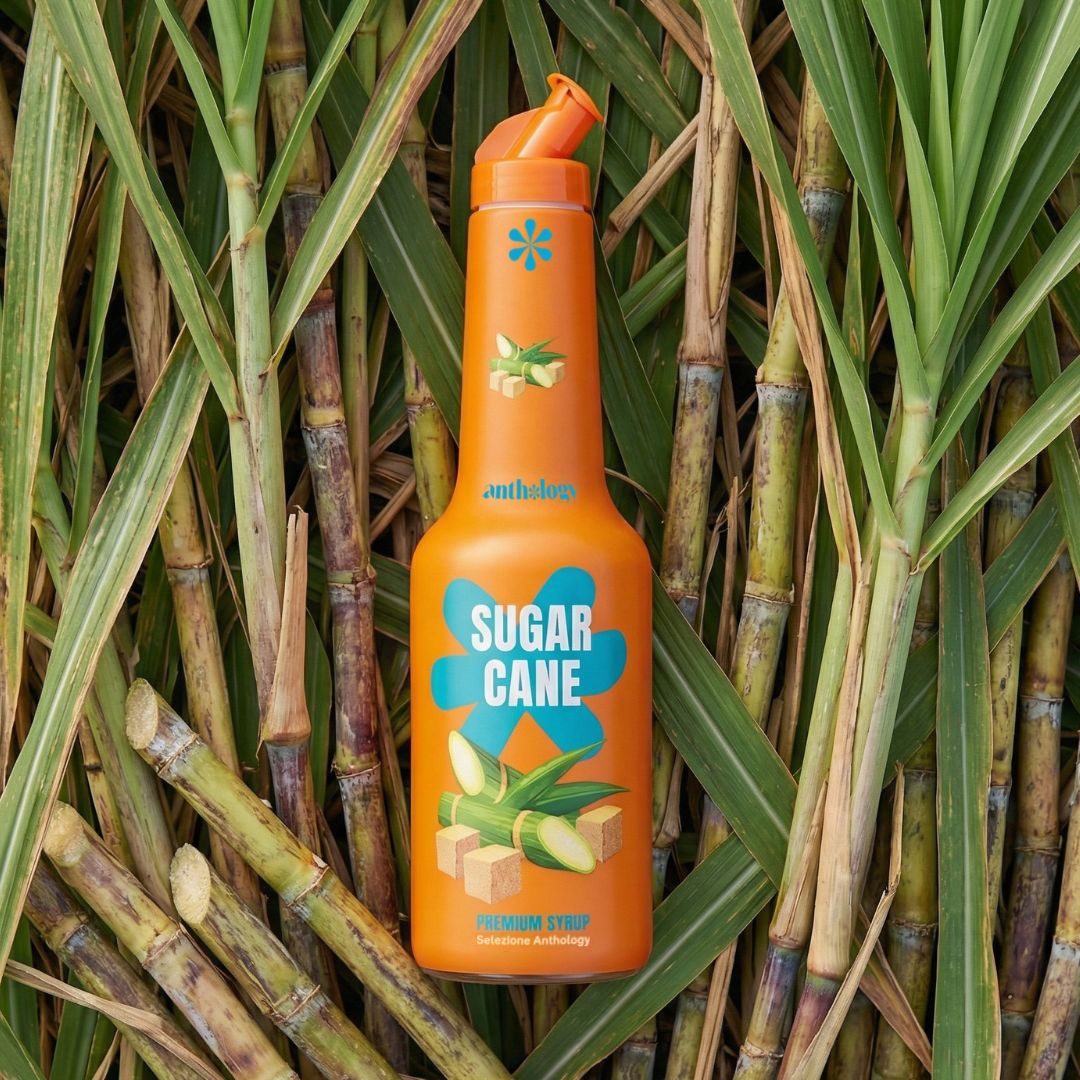 Anthology Mixology Sugar Cane sciroppo cocktail Riunione