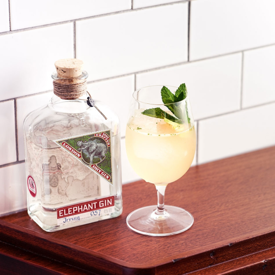 Anthology Gin London Dry bottiglia ginepro e baobab