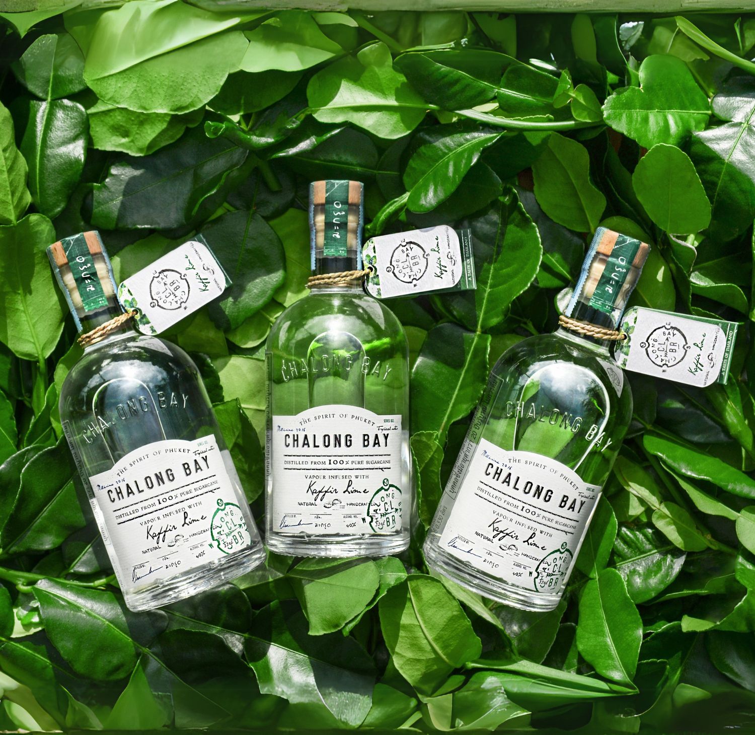 Anthology Rum Tropical Notes Kaffir Lime Canna
