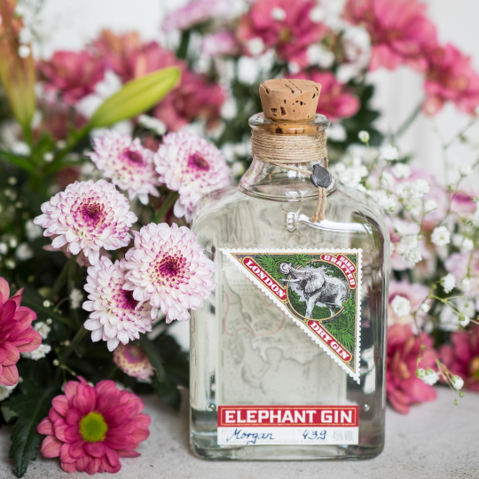 Anthology Gin London Dry bottiglia ginepro e baobab