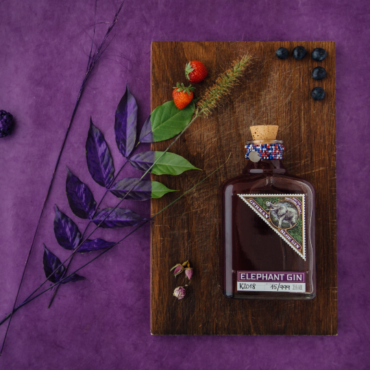 Anthology GIN Sloe gin bacche di prugnolo e baobab