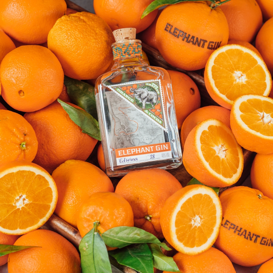 Anthology GIN Orange Cocoa gin arancia e cacao